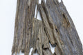 عود ناجلاند